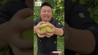 dragon fruit farming | Most Satisfying Fruit Cutting Ever 🍉🔪 ASMR #shorts #fruit #farming #fruitasmr