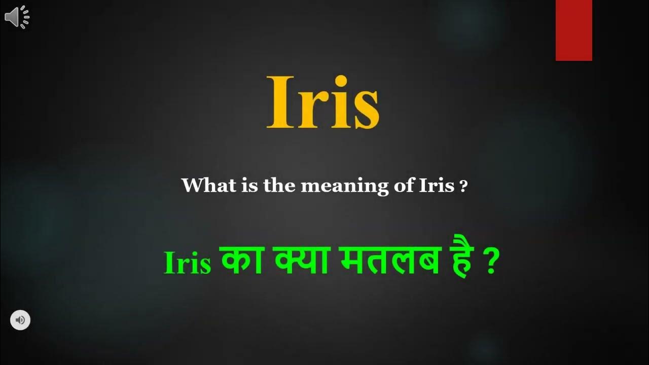Iris meaning in Hindi Iris ka kya matlab hota hai daily use English