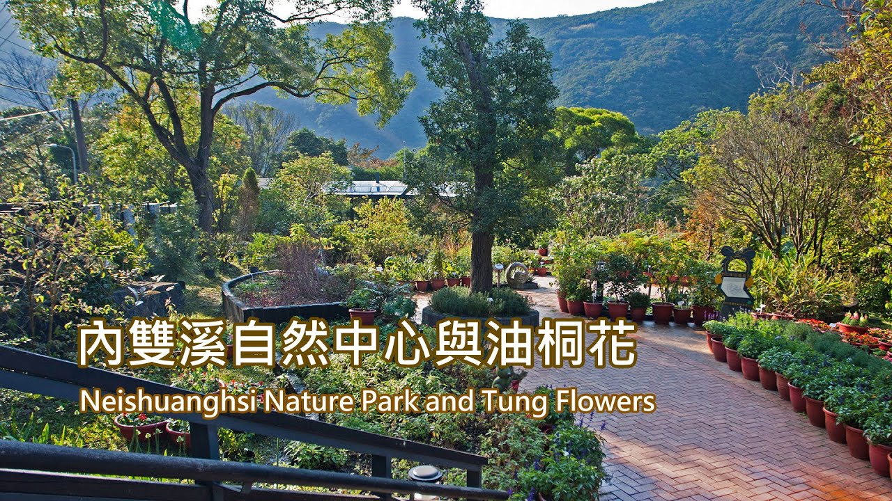 內雙溪自然中心與油桐花 從外雙溪看世界 Udn部落格