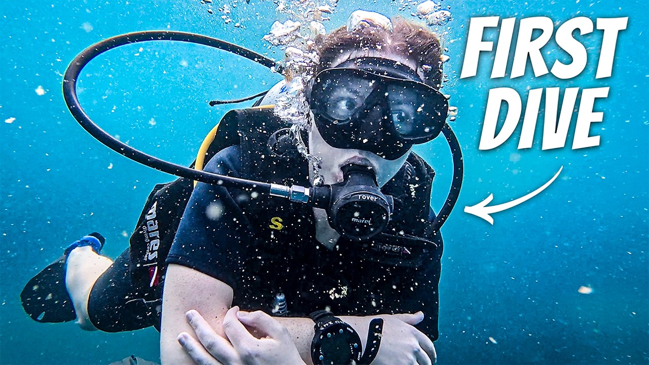 Попробуйте самый дешевый в мире сертификат дайвера (Ко Тао, Таиланд)