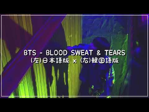 【SPLIT AUDIO】血汗涙 ／ BLOOD SWEAT & TEARS イヤホンで聴いてみて 【BTS 防弾少年団】