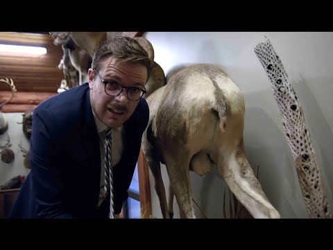 Save The Tahr, To Hunt The Tahr - New Zealand Today