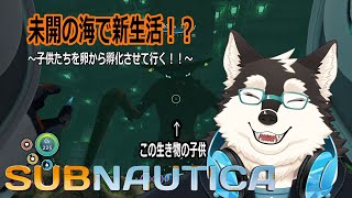 【ゲーム配信】古代より生きている生物の卵の孵化させます！！