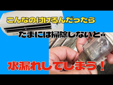 洗浄屋チャンネル - YouTube