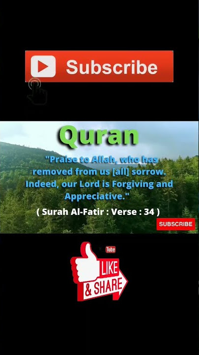 Surah Al-Fatir : Verse : 34 #shorts #islam #quran