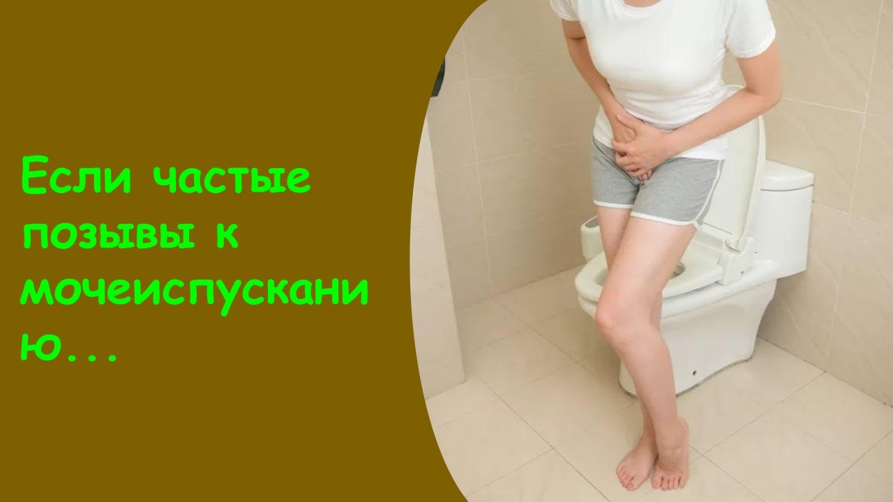 Частые Позывы К Мочеиспусканию - Средства От Мочеиспускания У Женщин ...
