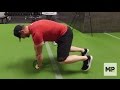 How to Use an Ab Wheel- Bear Crawl Core Exercise (Ab Roller Video 3 of 3)