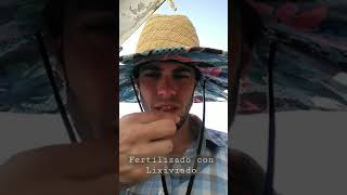 Comparando el sabor de los Tomates🍅 | Nemesia | A. Y. Ortiz Shorts