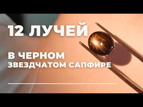 Video: Гиалин кемирчекти кантип сүрөттөйт элеңиз?