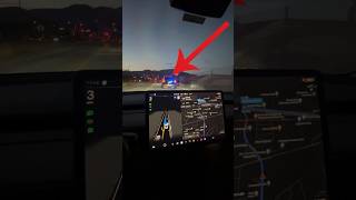 Tesla FSD reacts to POLICE Car! 🚔 #tesla #fsd #selfdriving #shorts Net Worth