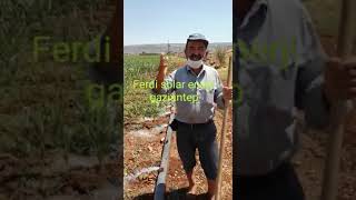 Gaziantep Ferdi̇ Solar 18,5 Kw Frecon Uygulamasi