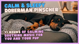 🐶 ☁️ 😌 Gentle Sounds for Calm, Stress & Anxiety Relief for Doberman Pinschers, &  Humans too screenshot 4