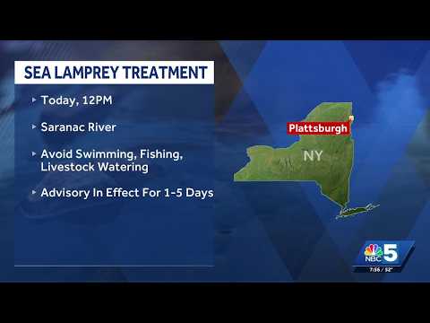 U.S. Fish & Wildlife Department issues water advisory during sea lamprey treatment in Saranac River