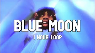 $NOT - BLUE MOON (feat. Teddi Jones) [1 Hour Loop]