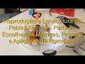 Reprodução e Larvicultura de Peixes Nativos Parte 2 - Escolha, preparo e aplicação de hormônio