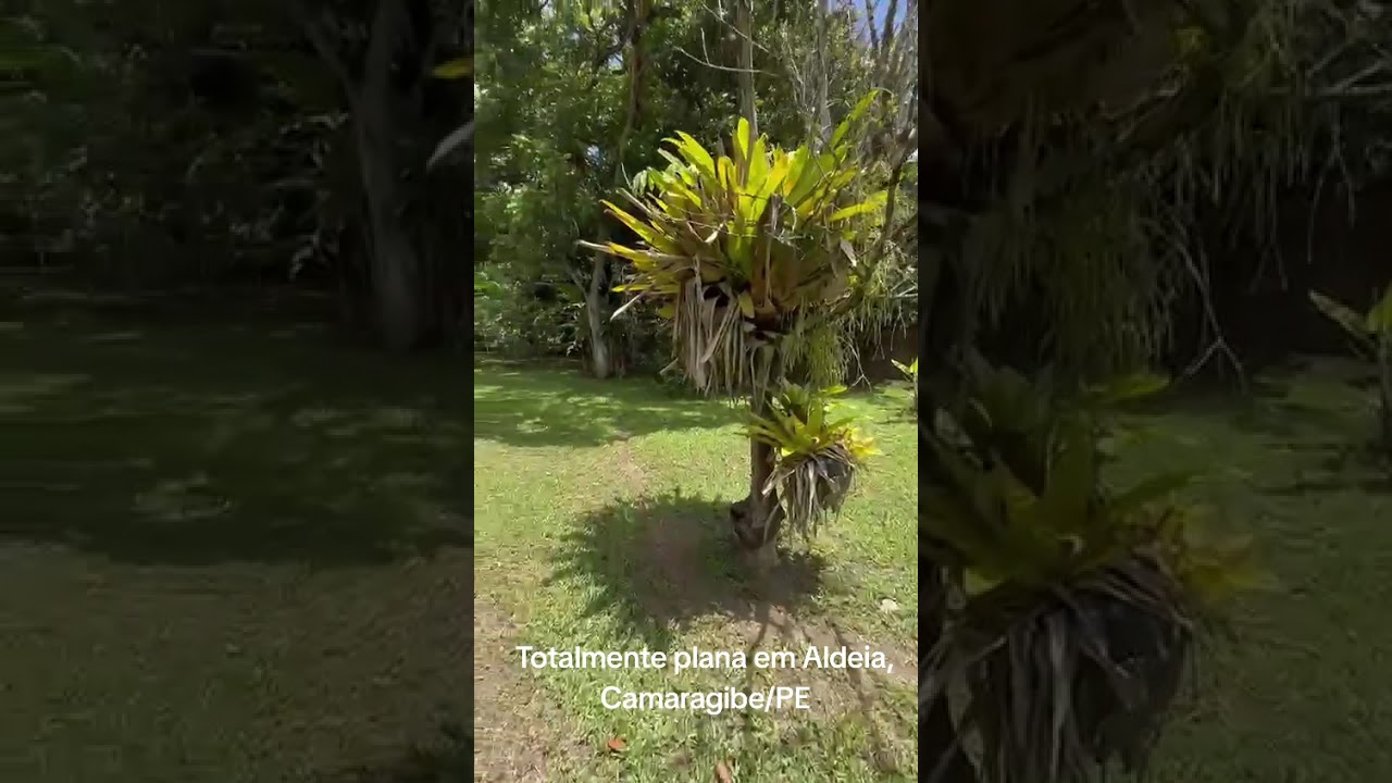 Chácara para vender em Aldeia 