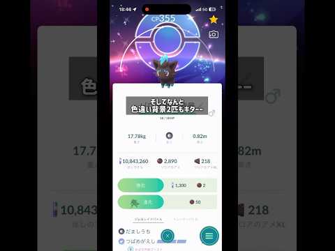 【ポケモンGO】ぞろぞろ #pokemon