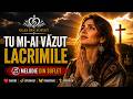 Tu Mi Ai Văzut Lacrimile Cea Mai Emoționantă Melodie Creștină Românească 2026 Glas Din Suflet 
