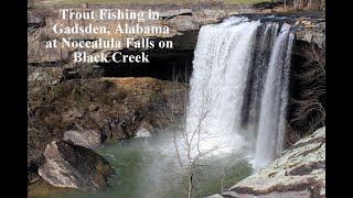 Trout Fishing in Gadsden, Alabama at Noccalula Falls on Black Creek