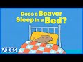 Animal Sleeping Habits Quiz