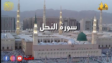 سورة النحل ثلاواء قما في الروعة