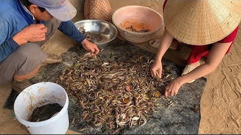 Thành Quả Của Em Tèo đổ Lú. Cá kèo kho củ Cải Cùng Anh Em Ăn Bữa cơm - TVQT.160