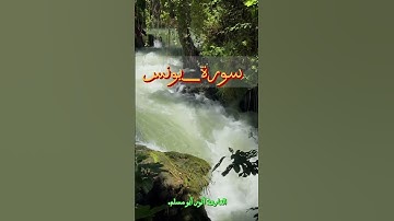 #القرآن_الكريم #القارئ #أنور_أبو_مسلم #اسلام_صبحي #سورة_يونس #تلاوات_خاشعة