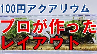 【アクアリウム大学】100均容器で水槽レイアウト作成！【切り抜き】