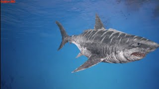 film ful❗ jurassic shark 3 seavenge 2023 sub Indo