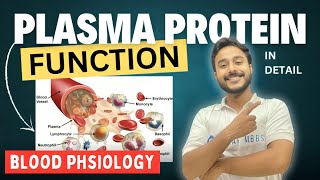 blood plasma protein function physiology | functions of blood plasma proteins physiology