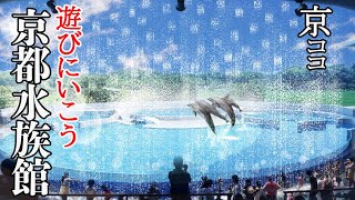 【京都おすすめ】京都水族館に遊びに行こう！【京のココ見といやす】【京都観光旅行】 京都水族館に行く2022夏 京都でサカナやイルカに癒される