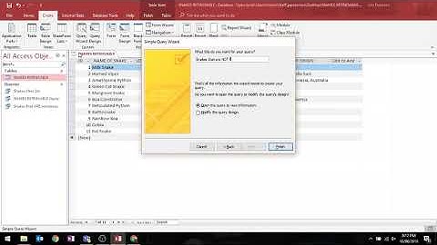 MS Access - Query WITHOUT this Word Anywhere in this Field