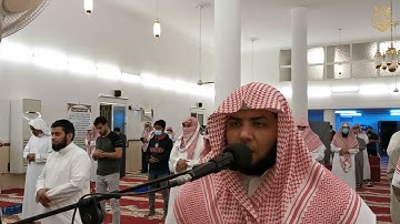 الربع الخامس عشر والسادس عشر من سورة البقرة من تلاوات التراويح والقيام القارئ / محمد ربيع عبدالحفيظ
