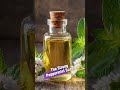 Make a Powerful Roach Repellent in 5 Minutes! #shorts