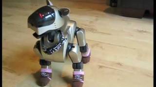 Sony Aibo... Recognition software by Aibo Addicts 46,263 views 15 years ago 2 minutes, 24 seconds