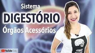 Sistema Digestório 4/5: Fígado, Vesícula Biliar e Pâncreas | Anatomia etc