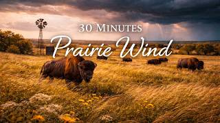 30 Minutes Prairie Wind Sounds 🌾 Calm Countryside Ambience