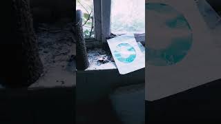 Das vergessene Haus des Fotografen 🕯️📷  #lostplace #shorts  #verlasseneorte #urbex #verlassen