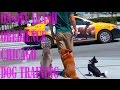 On•Off Leash Obedience: Chicago Dog Training On•Off Leash Obedience: Chicago Dog Training