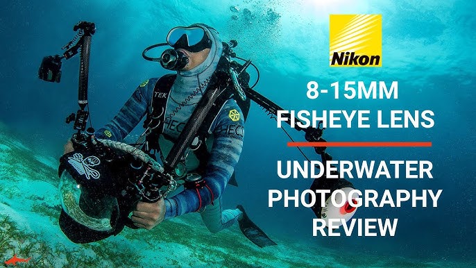 Nikon Z7 II Underwater Photos and Review