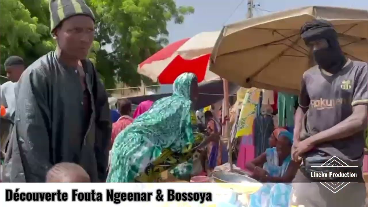 Découverte du Fouta Toro Nguenar et Bossoya 