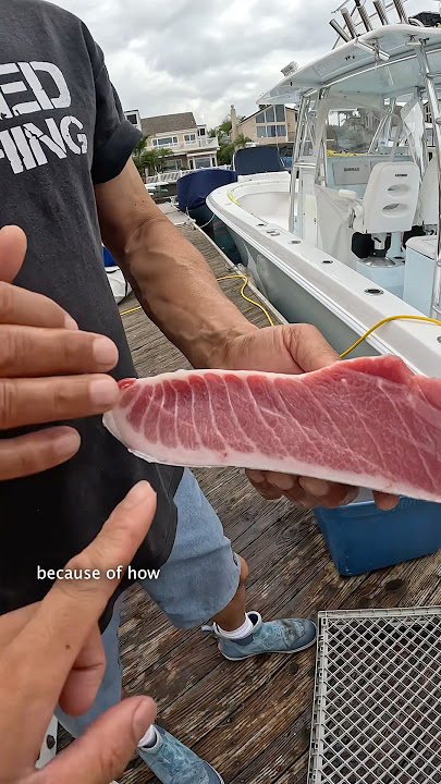 Poor Man’s Bluefin Tuna #fishing #shorts