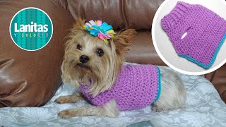 CROCHET knitted sweater or sweater for pets | easy crochet dog sweater pattern Lanitas y Colores