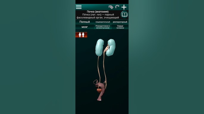 Олар қалыңдықты тойда желіде сиқытты