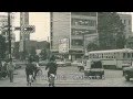 昭和の花 / 小金沢昇司 Cover:Doenka Eiko