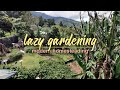 Welcome to our Edible Yard - Modern Homesteading