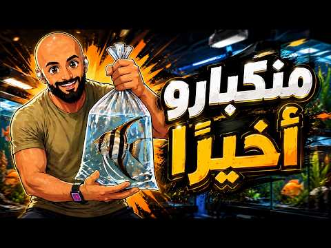 S6E101 - منكبارو أخيراً