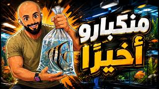 S6E101 - منكبارو أخيراً
