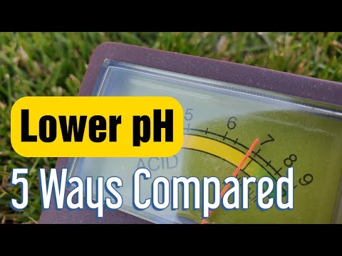 Video: Min græsplæne-pH er for høj: Tips til, hvordan man sænker plænens pH