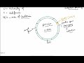 Plasmid Vector pUC18/19 for class 12